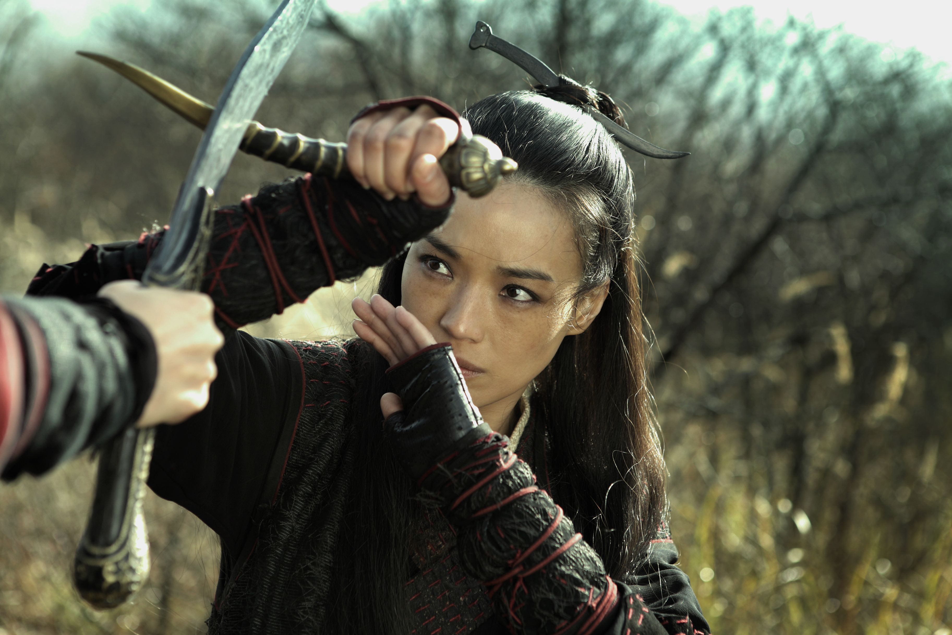 The Assassin (2015)
