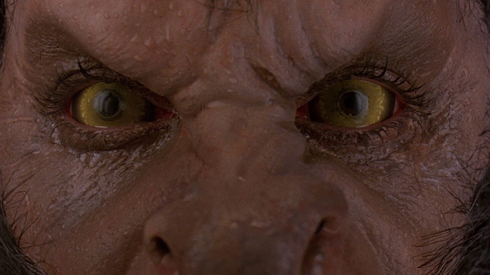 An American Werewolf in London&nbsp;(1981)