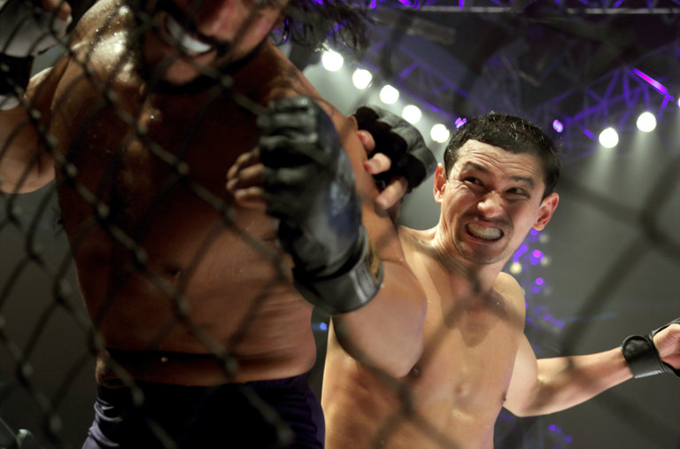 Fists of Legend (2013)