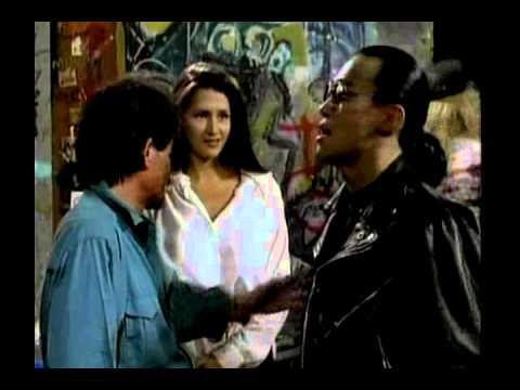 American Chinatown (1996)