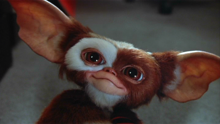Columbus Confirms “Gremlins 3” in Development