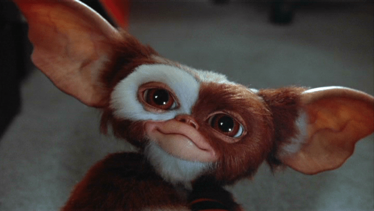 Columbus Confirms “Gremlins 3” in&nbsp;Development