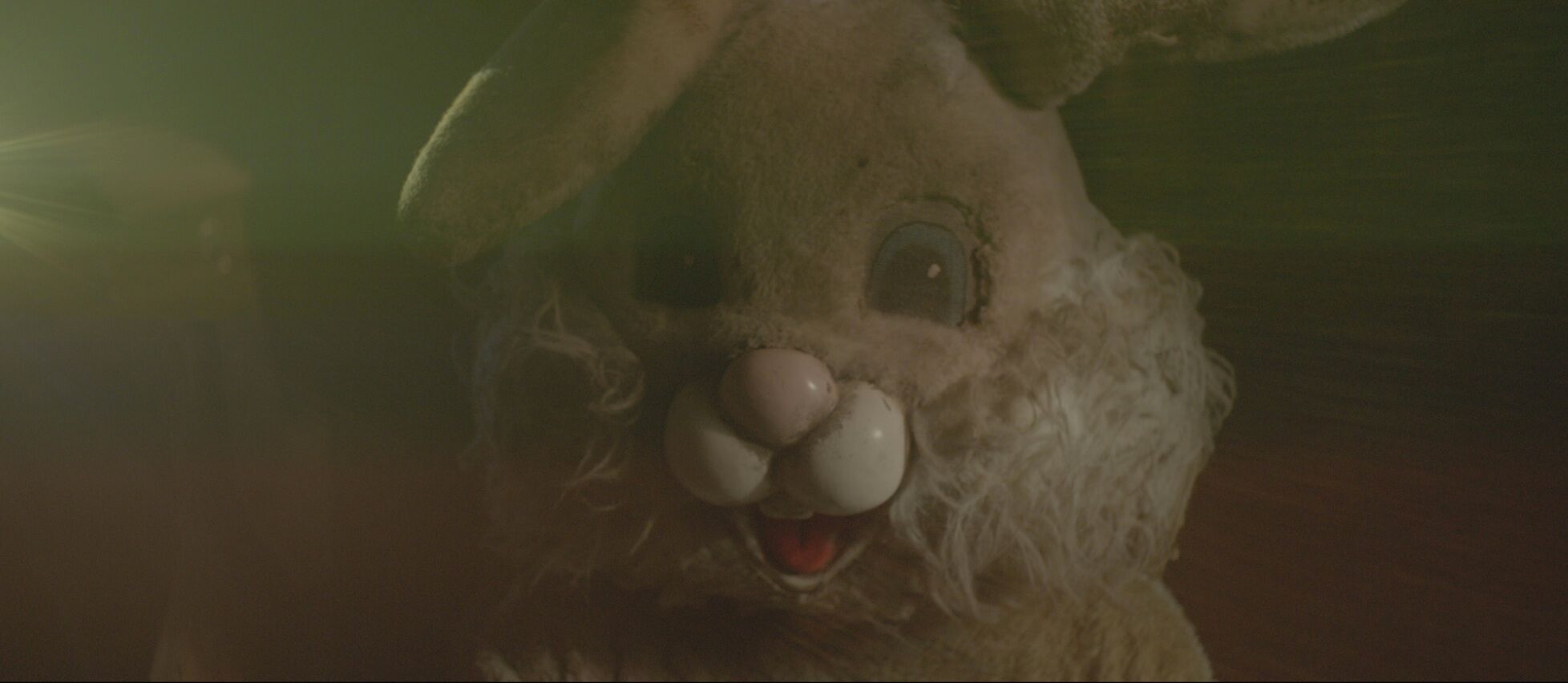 The “Bunnyman” Goes on His Final Hunt