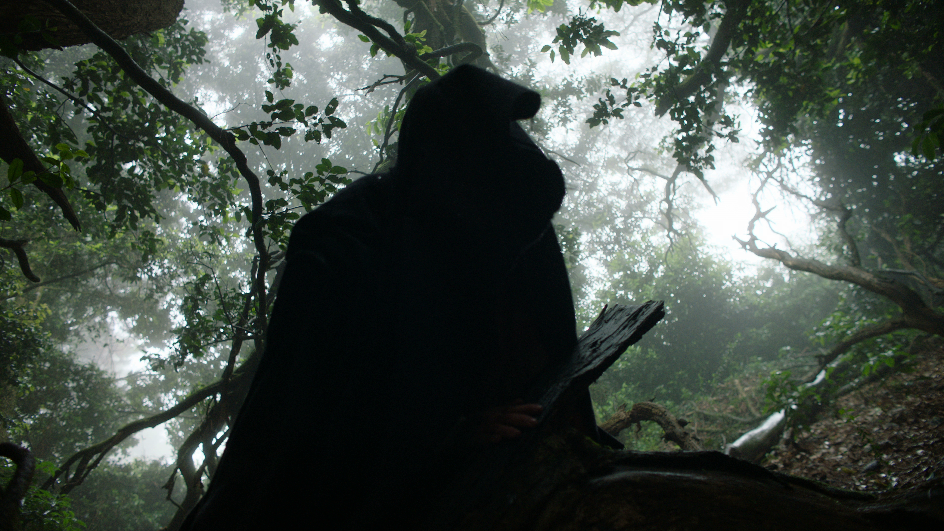 Red Christmas (2017)