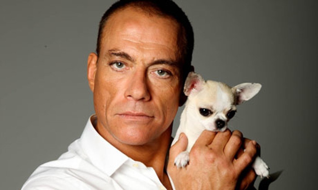 Van Damme to Become “The&nbsp;Bouncer”