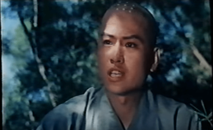 Shaolin Temple Strikes Back&nbsp;(1981)