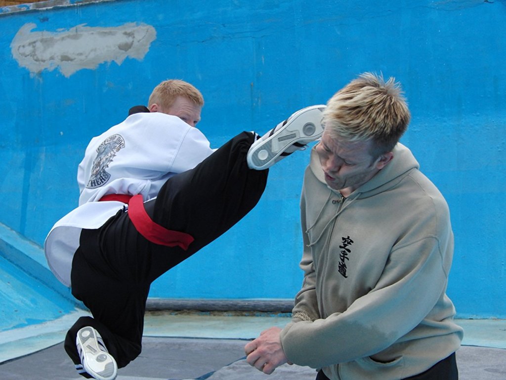 Arena of the Street Fighter&nbsp;(2013)