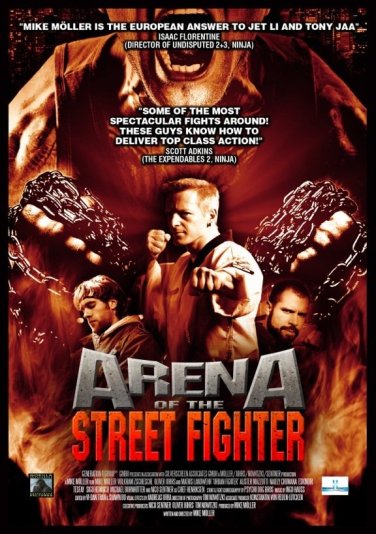 arenaofthestreetfighter