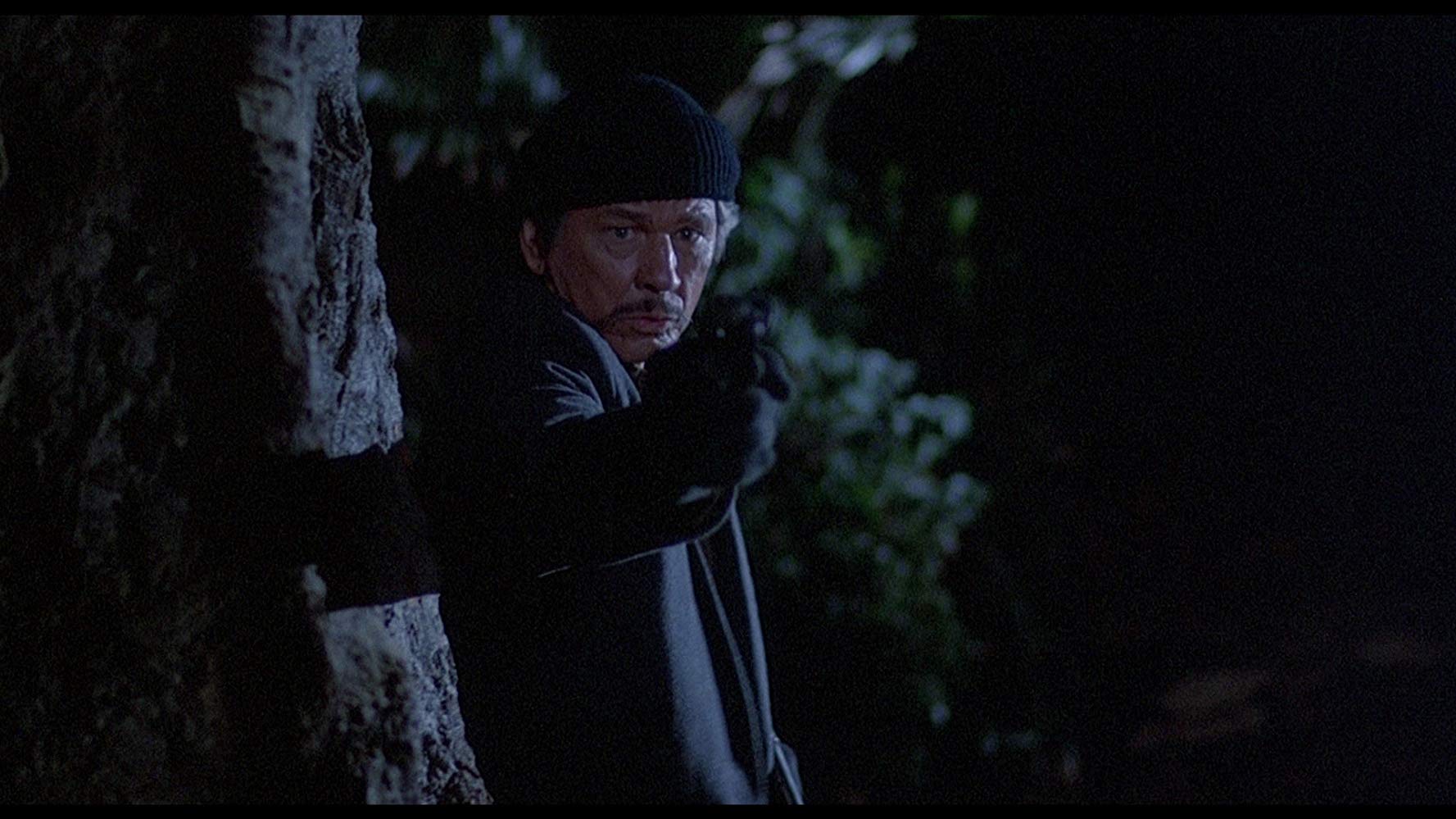 Death Wish II (1982)
