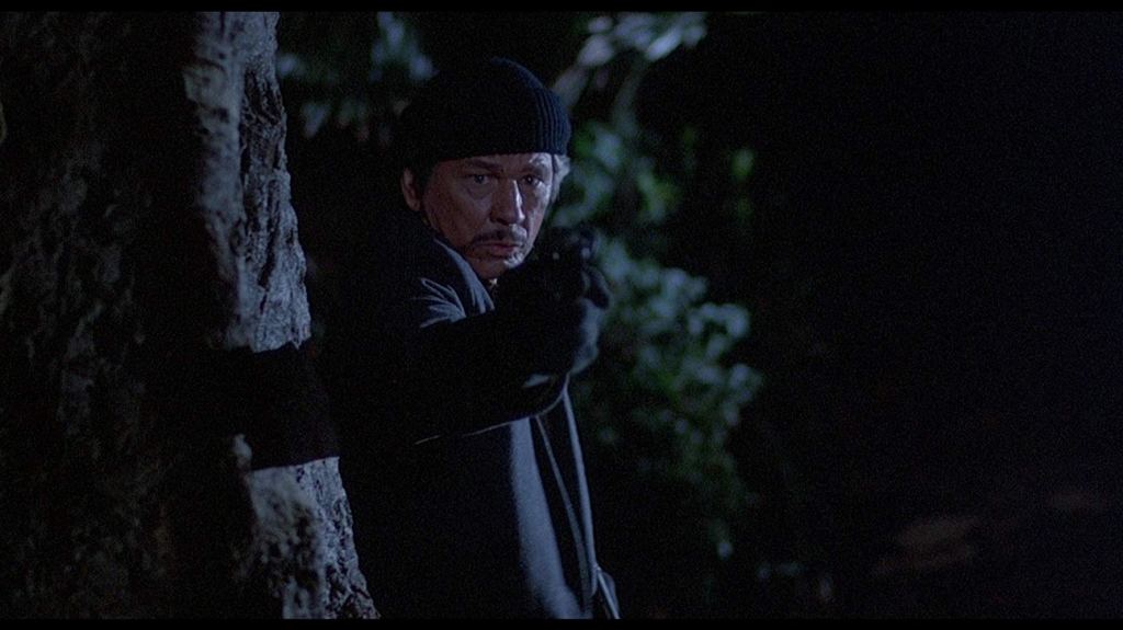Death Wish II&nbsp;(1982)