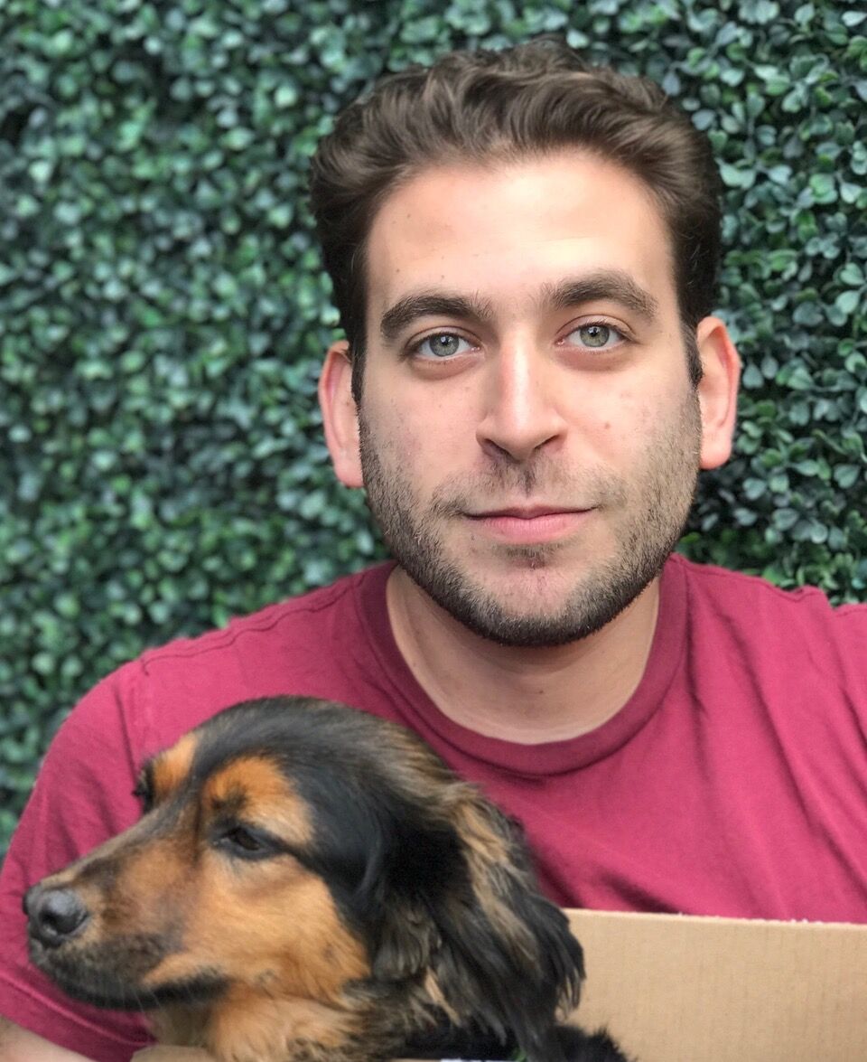 Feeling the Effects of “Browsing”: An Interview with Michael K. Feinstein