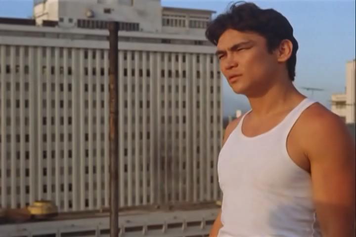 The Power of the “Fist”: A Look at “Bloodfist” and Its Remakes