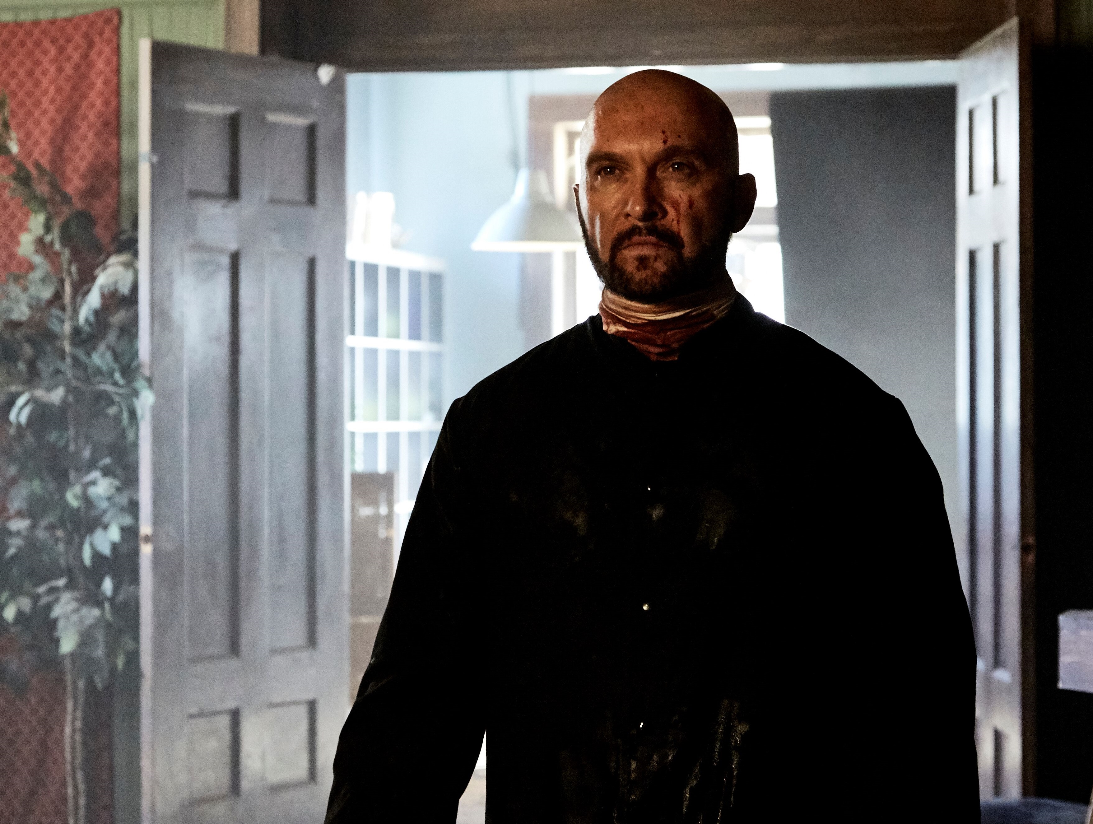 The Mercenary (2020)