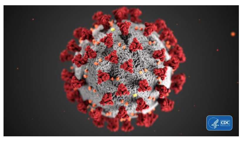 Film Delays as a Result of the Coronavirus Pandemic (UPDATED)