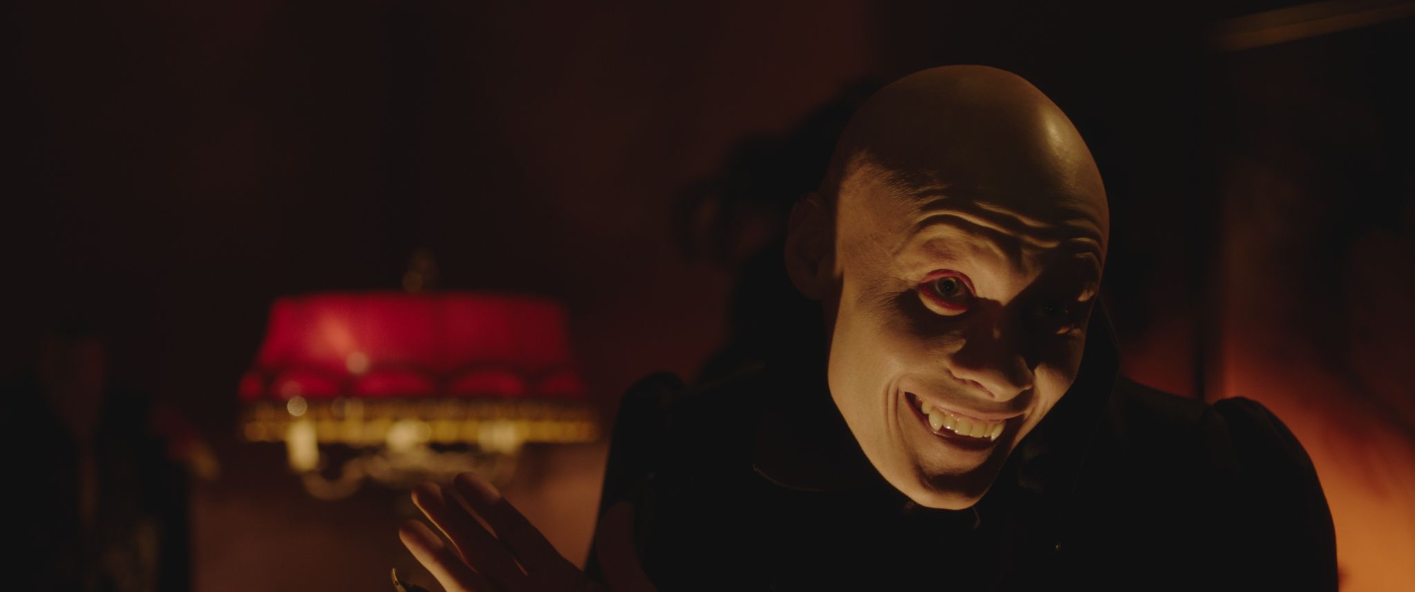 Enter “Dreamland” This June