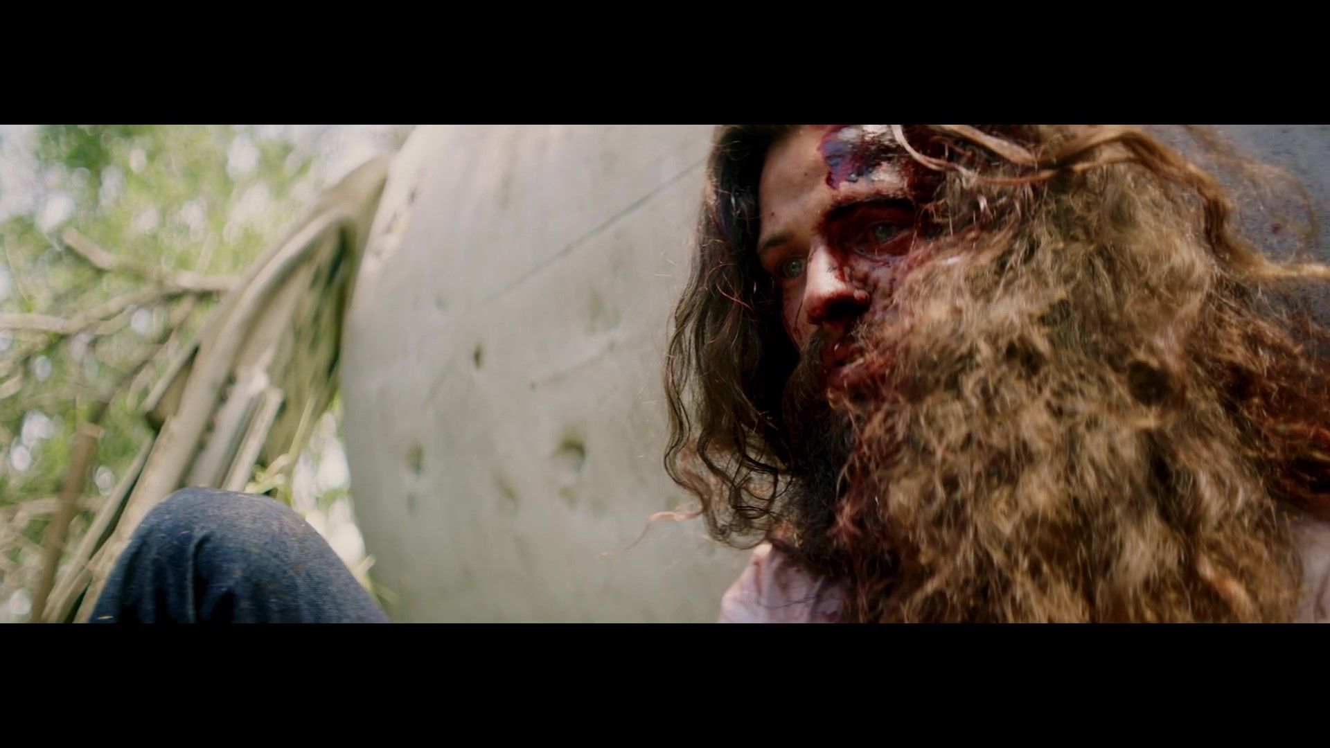 Street Survivors: The True Story of the Lynyrd Skynyrd Plane Crash (2020)