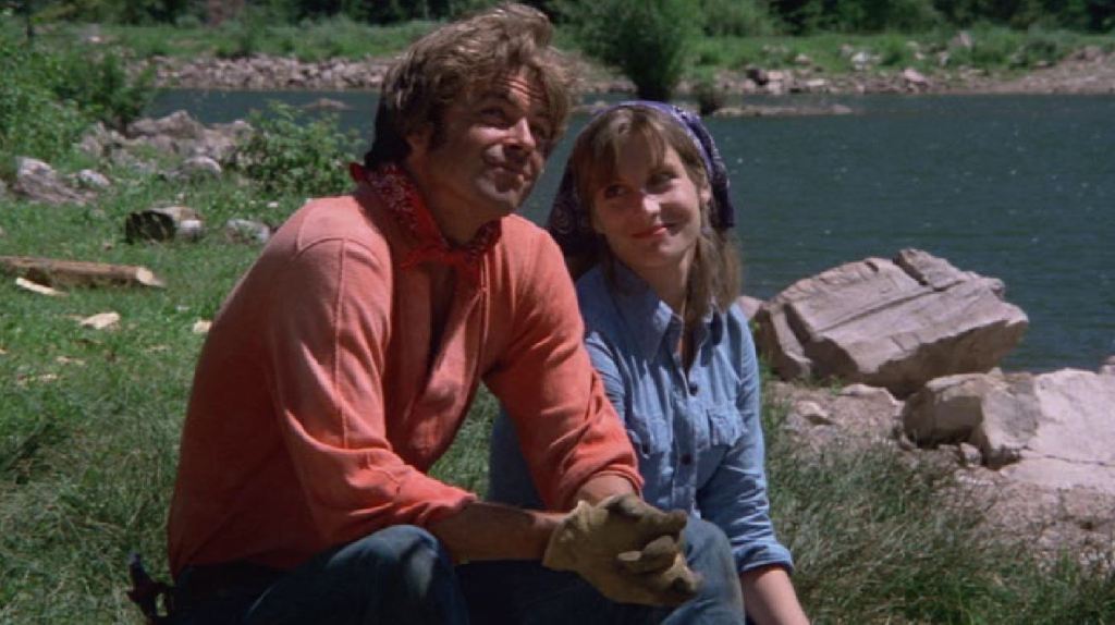 The Adventures of the Wilderness Family&nbsp;(1975)