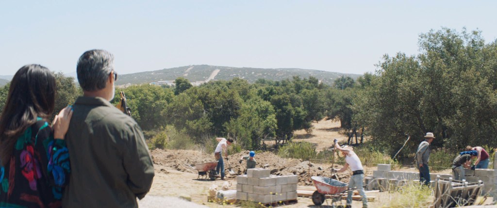 The Wall of Mexico&nbsp;(2020)