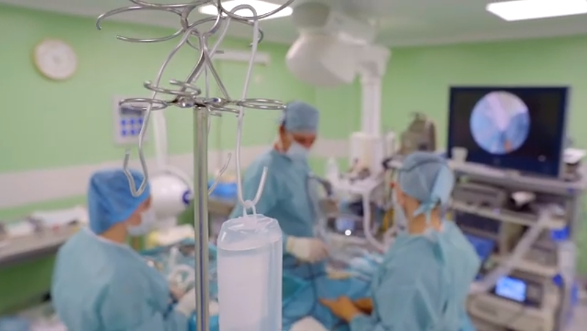 A Pandemic: Away from the Motherland (2020)