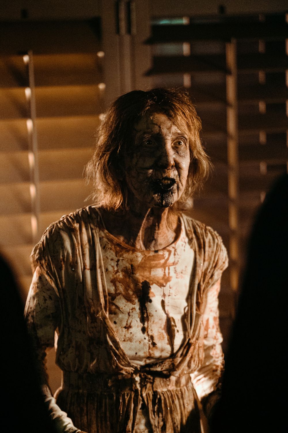 A Third “Call”: An Interview with Lin&nbsp;Shaye