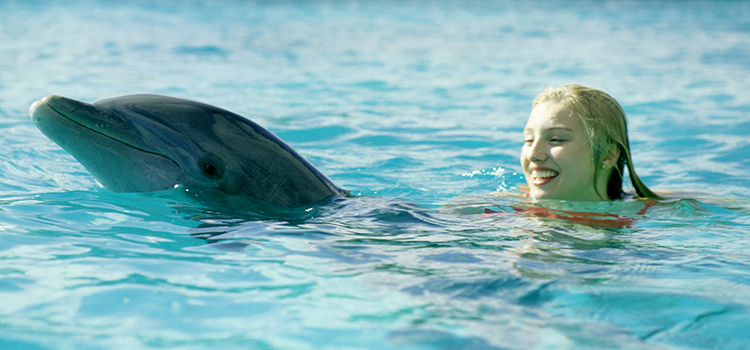 Dolphin Island (USA, 2021)