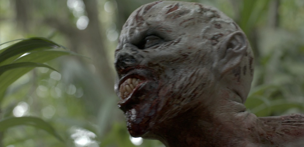 Indigenous (USA, 2014)