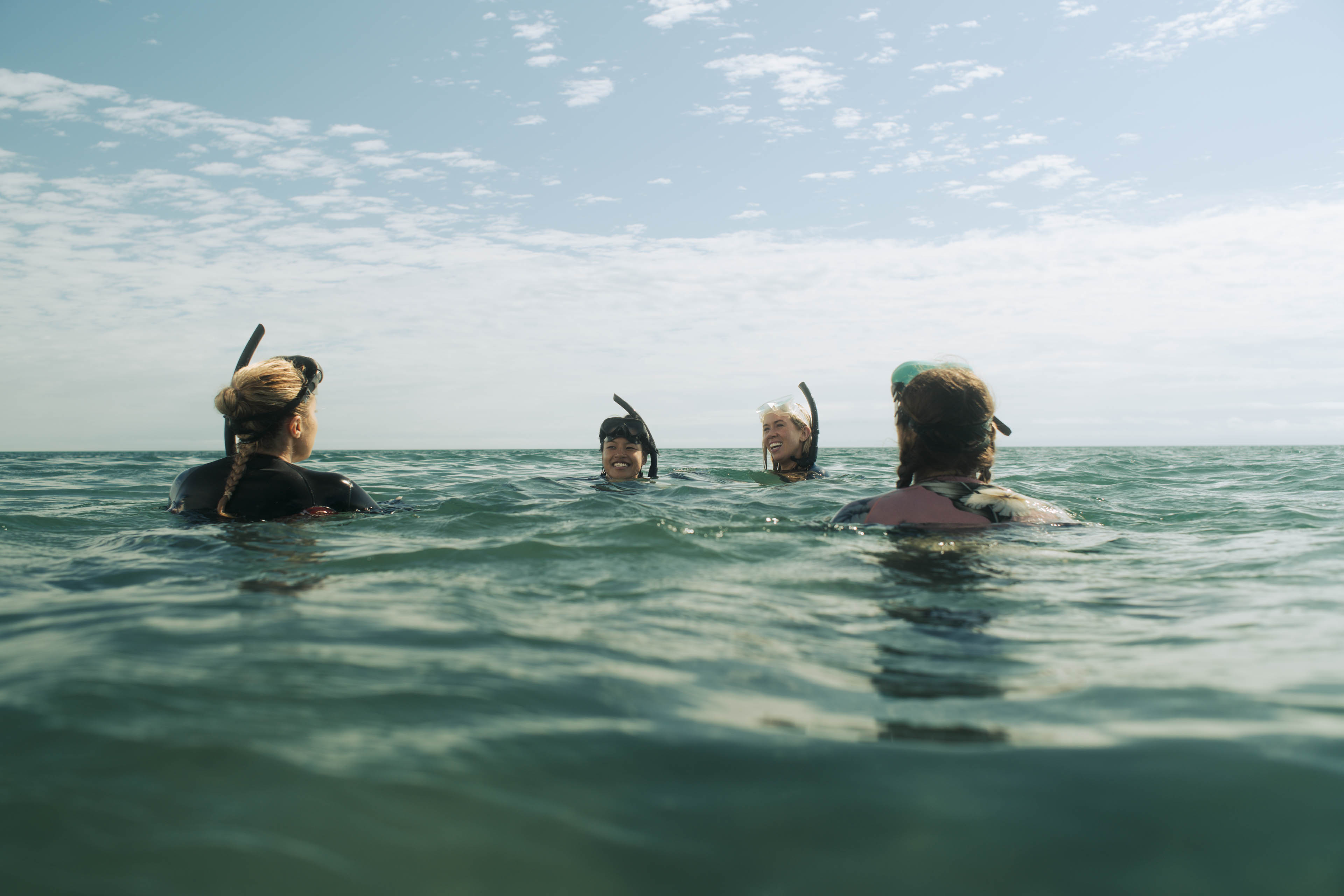 The Reef: Stalked (Australia, 2022)