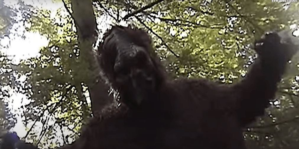 Bigfoot Unleashed, Part VII (USA,&nbsp;2024)