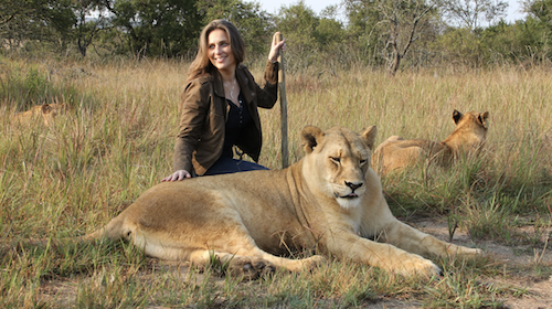 Lion Spy (Australia,&nbsp;2024)