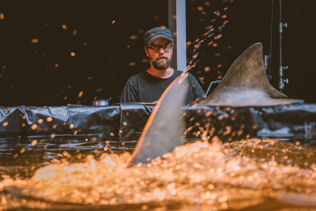 “Beast of War”: An Exclusive Interview with Kiah&nbsp;Roache-Turner