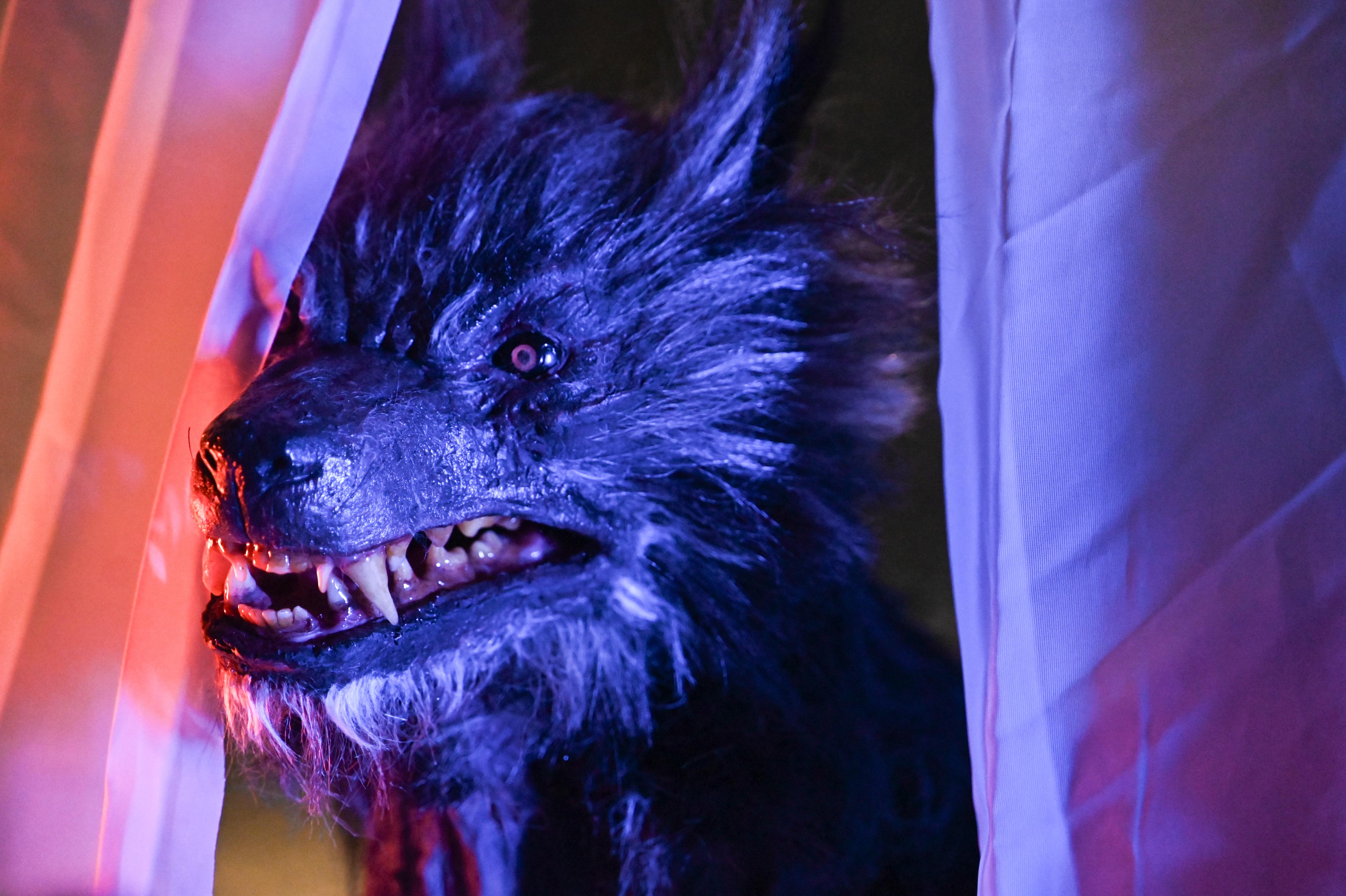 Frenzy Moon (USA, 2025)